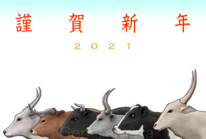 2021年 年賀状 丑年 Adobe Stock イラスト : タムラゲン ( タムラ・ゲン )