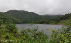 大成龍神社の近くにある神農湖