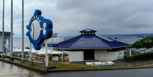 のとじま水族館　石川県　撮影：タムラゲン