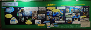 のとじま水族館　石川県　撮影：タムラゲン