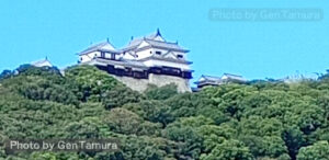 松山城　愛媛県　影武者　黒澤明　浜松城　徳川家康